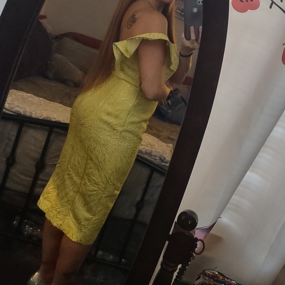 Alberto Makali Yellow and Silver Evening Dress NWT Size 6 - Picture 4 of 9